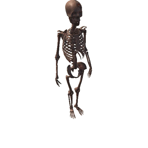 Full Skeleton Gib Version 4